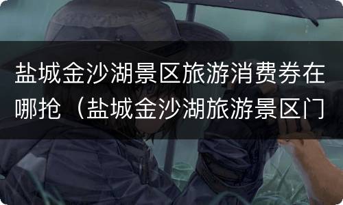 盐城金沙湖景区旅游消费券在哪抢（盐城金沙湖旅游景区门票）