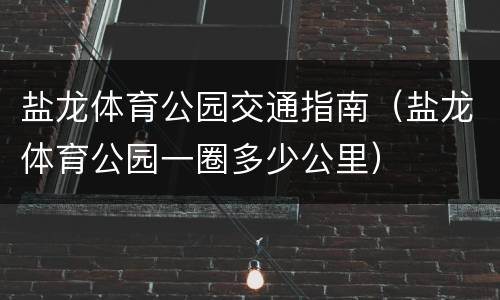 盐龙体育公园交通指南（盐龙体育公园一圈多少公里）