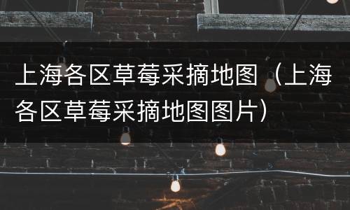 上海各区草莓采摘地图（上海各区草莓采摘地图图片）