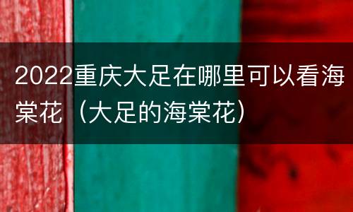 2022重庆大足在哪里可以看海棠花（大足的海棠花）