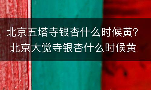 北京五塔寺银杏什么时候黄？ 北京大觉寺银杏什么时候黄