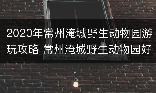 2020年常州淹城野生动物园游玩攻略 常州淹城野生动物园好不好玩