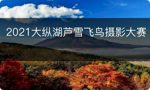2021大纵湖芦雪飞鸟摄影大赛