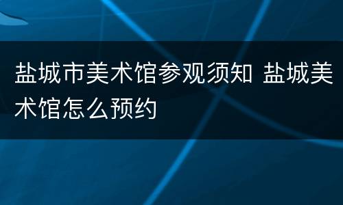 盐城市美术馆参观须知 盐城美术馆怎么预约