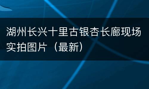 湖州长兴十里古银杏长廊现场实拍图片（最新）