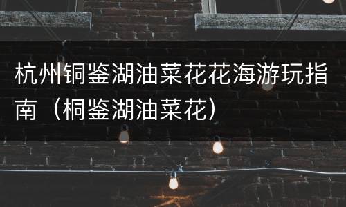 杭州铜鉴湖油菜花花海游玩指南（桐鉴湖油菜花）