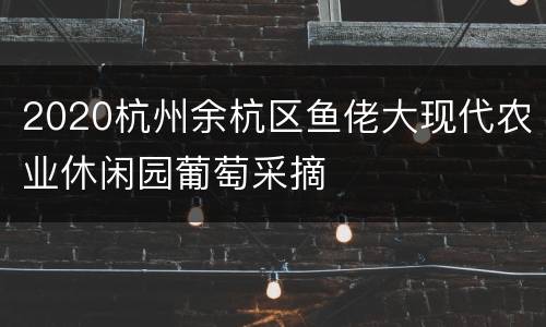 2020杭州余杭区鱼佬大现代农业休闲园葡萄采摘