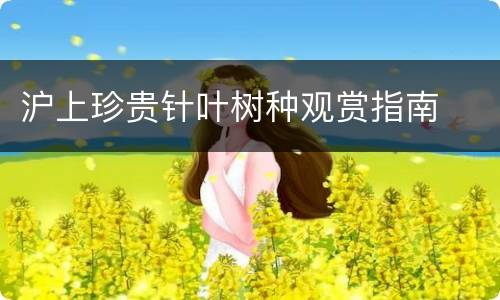 沪上珍贵针叶树种观赏指南