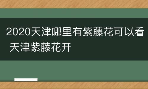 2020天津哪里有紫藤花可以看 天津紫藤花开