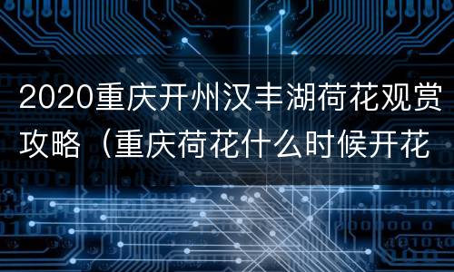 2020重庆开州汉丰湖荷花观赏攻略（重庆荷花什么时候开花）