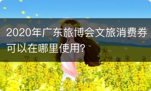 2020年广东旅博会文旅消费券可以在哪里使用？