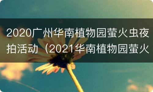 2020广州华南植物园萤火虫夜拍活动（2021华南植物园萤火虫）