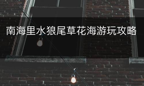 南海里水狼尾草花海游玩攻略