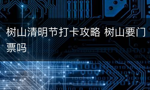 树山清明节打卡攻略 树山要门票吗