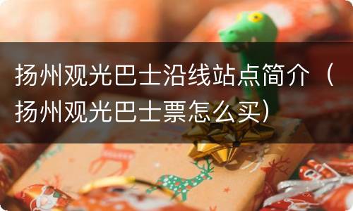 扬州观光巴士沿线站点简介（扬州观光巴士票怎么买）