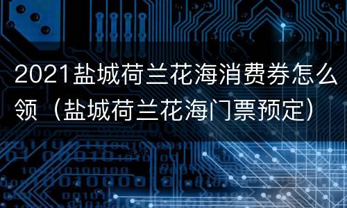 2021盐城荷兰花海消费券怎么领（盐城荷兰花海门票预定）