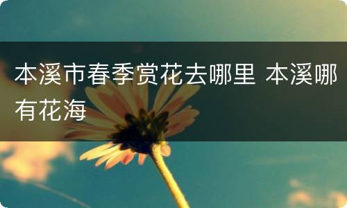本溪市春季赏花去哪里 本溪哪有花海