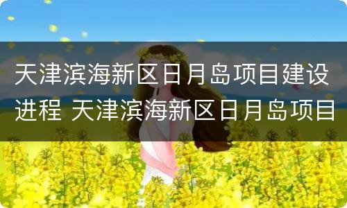天津滨海新区日月岛项目建设进程 天津滨海新区日月岛项目建设进程表