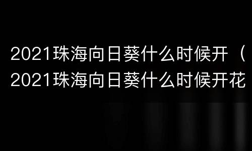 2021珠海向日葵什么时候开（2021珠海向日葵什么时候开花的）