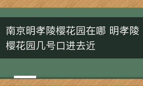 南京明孝陵樱花园在哪 明孝陵樱花园几号口进去近