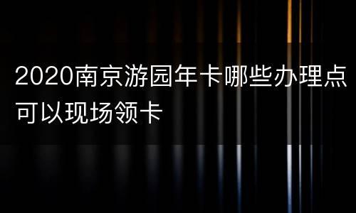 2020南京游园年卡哪些办理点可以现场领卡