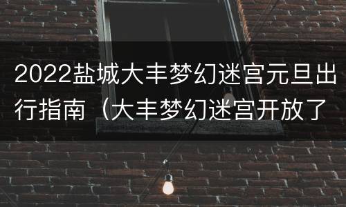 2022盐城大丰梦幻迷宫元旦出行指南（大丰梦幻迷宫开放了吗）
