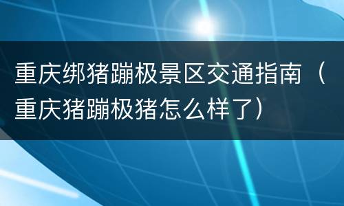 重庆绑猪蹦极景区交通指南（重庆猪蹦极猪怎么样了）