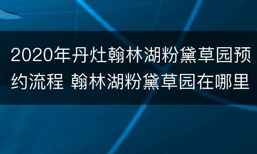 2020年丹灶翰林湖粉黛草园预约流程 翰林湖粉黛草园在哪里