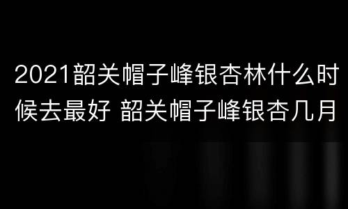 2021韶关帽子峰银杏林什么时候去最好 韶关帽子峰银杏几月黄