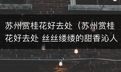 苏州赏桂花好去处（苏州赏桂花好去处 丝丝缕缕的甜香沁人心脾）