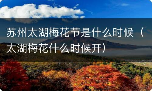 苏州太湖梅花节是什么时候（太湖梅花什么时候开）