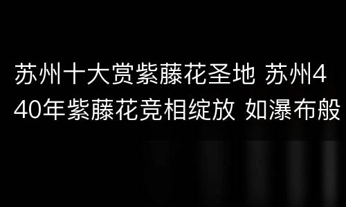 苏州十大赏紫藤花圣地 苏州440年紫藤花竞相绽放 如瀑布般倾泻而下画 面绝美