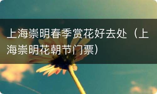 上海崇明春季赏花好去处（上海崇明花朝节门票）