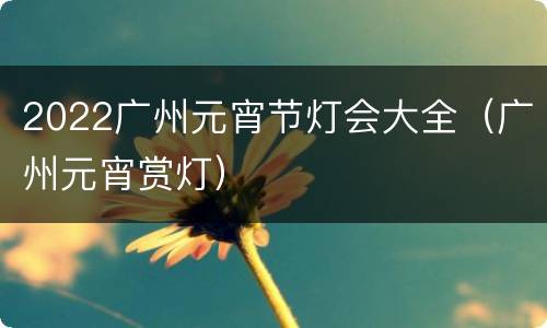 2022广州元宵节灯会大全（广州元宵赏灯）