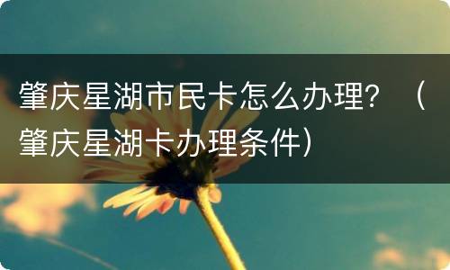 肇庆星湖市民卡怎么办理？（肇庆星湖卡办理条件）