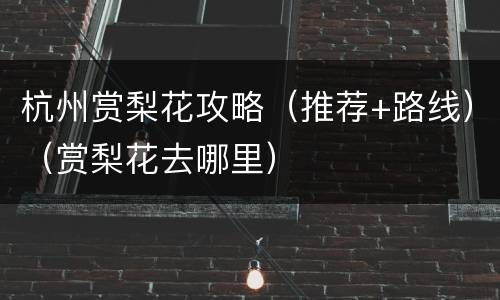 杭州赏梨花攻略（推荐+路线）（赏梨花去哪里）