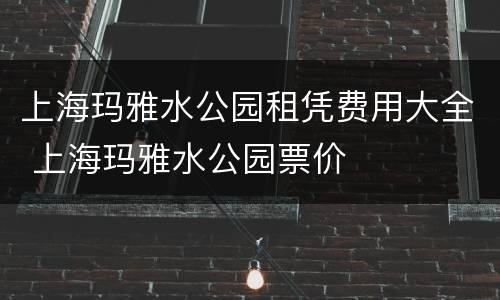 上海玛雅水公园租凭费用大全 上海玛雅水公园票价