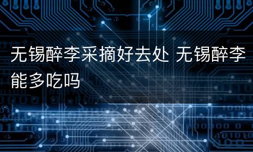 无锡醉李采摘好去处 无锡醉李能多吃吗