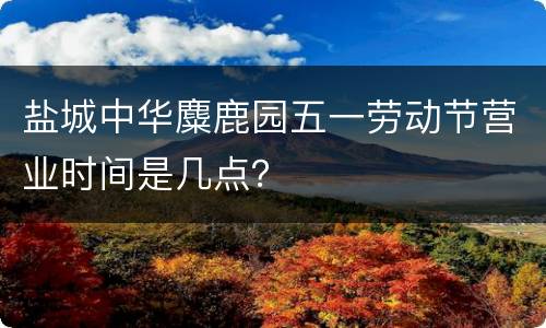 盐城中华麋鹿园五一劳动节营业时间是几点？