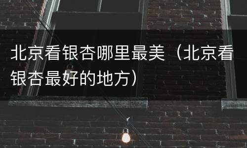 北京看银杏哪里最美（北京看银杏最好的地方）