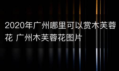 2020年广州哪里可以赏木芙蓉花 广州木芙蓉花图片