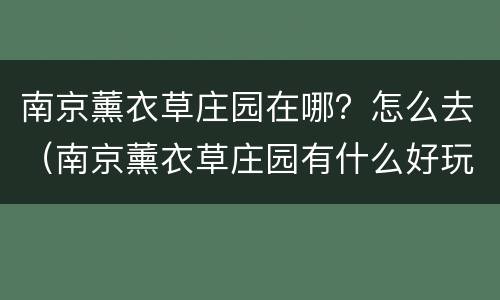 南京薰衣草庄园在哪？怎么去（南京薰衣草庄园有什么好玩的）