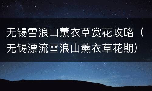 无锡雪浪山薰衣草赏花攻略（无锡漂流雪浪山薰衣草花期）
