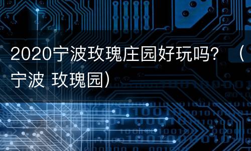 2020宁波玫瑰庄园好玩吗？（宁波 玫瑰园）