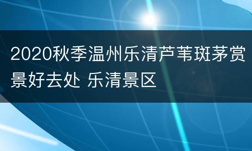 2020秋季温州乐清芦苇斑茅赏景好去处 乐清景区