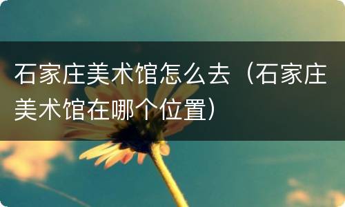 石家庄美术馆怎么去（石家庄美术馆在哪个位置）
