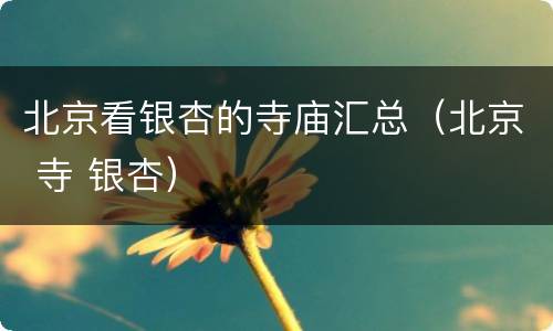 北京看银杏的寺庙汇总（北京 寺 银杏）