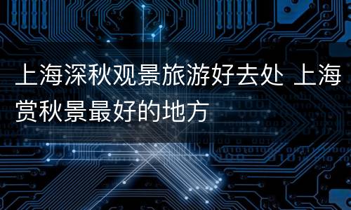 上海深秋观景旅游好去处 上海赏秋景最好的地方