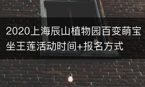 2020上海辰山植物园百变萌宝坐王莲活动时间+报名方式