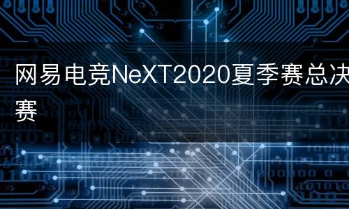 网易电竞NeXT2020夏季赛总决赛